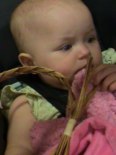 Baby and cedar headband